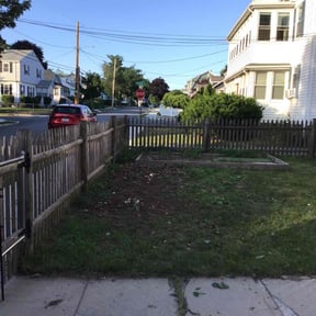 Bush Trimming by Cari lawn care reviewed on August 19, 2025