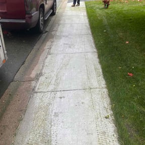 Bush Trimming by Top Turf L.L.C reviewed on August 16, 2025