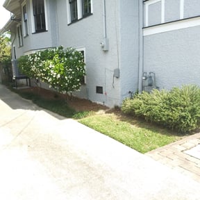Bush Trimming by MR GARDENS LANDSCAPING LLC reviewed on August 17, 2025