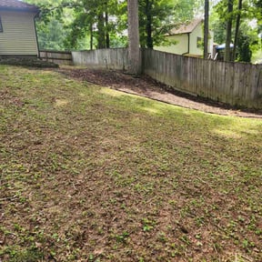 Leaf Removal by Clean and Serene Lawns reviewed on September 25, 2025