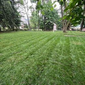 lawn service by FRL Landscaping reviewed on June 5, 2024