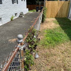Bush Trimming by MTD Lawncare & Maintenance reviewed on August 18, 2025