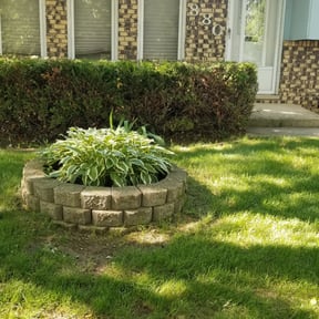 Bush Trimming by RHJ LANDSCAPING LLC reviewed on August 18, 2025