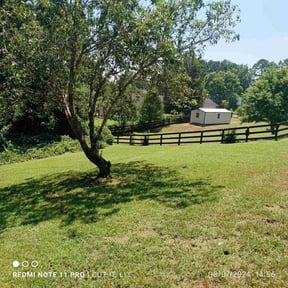 turf maintenance by Advanced Home & Lawn Care LLC reviewed on August 16, 2025