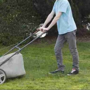 Leaf Removal by The Marchetti Method reviewed on August 7, 2025