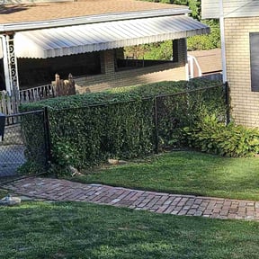 Bush Trimming by DavidH15066 reviewed on May 13, 2025
