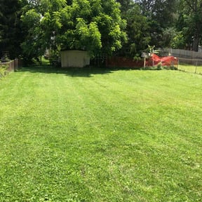 residential landscaping by Gio Landscaping reviewed on January 6, 2026