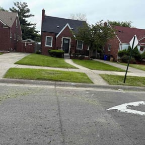 Bush Trimming by 205Live Services reviewed on August 20, 2025