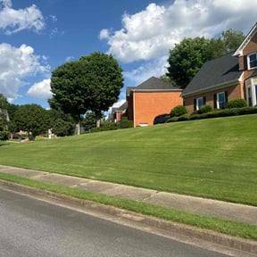 yard work by Landiix LLC reviewed on August 16, 2025