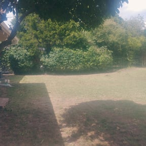 Bush Trimming by Abdu Lawn & Landscape reviewed on August 16, 2025
