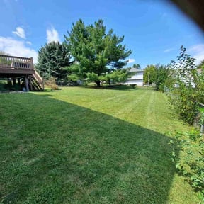 yard service by home & lawn care reviewed on August 18, 2025