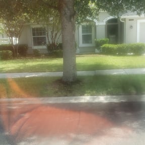 Bush Trimming by Brandon’s property services reviewed on August 20, 2025