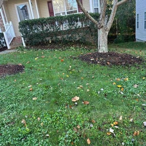 Bush Trimming by KG Grounds reviewed on December 31, 2025