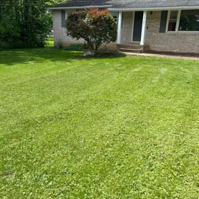 yard work by Chai Vue reviewed on August 20, 2025