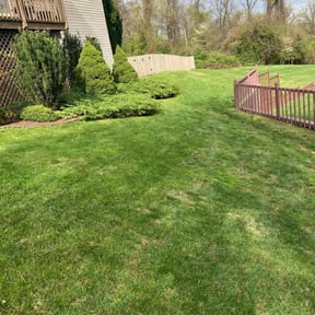 lawn maintenance by Smith's Services reviewed on August 21, 2025