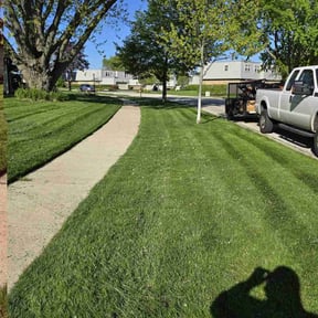 gardening service by Greenview Lawn Solutions llc reviewed on August 20, 2025