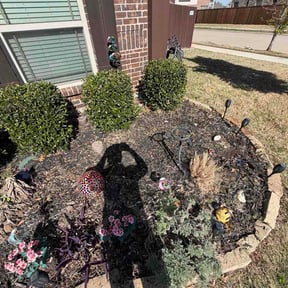 Flower Bed Weeding by Spinelli Scenery Solutions LLC. reviewed on March 19, 2026