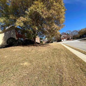 Leaf Removal by Klvyardcare reviewed on October 18, 2025