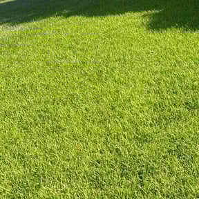 residential landscaping by Grasman LLC reviewed on August 18, 2025