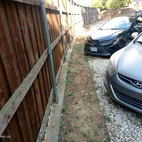 Leaf Removal by Our Vision Media LLC reviewed on November 10, 2025