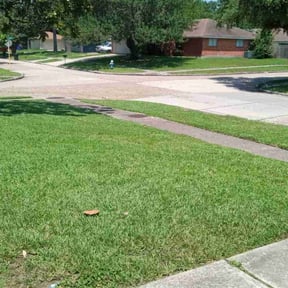 yard service by 66landscaping LLC reviewed on August 18, 2025