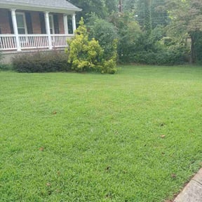 yard service by JH Lawn Maintenance reviewed on August 19, 2025
