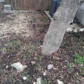 Leaf Removal by Lovely Lawns reviewed on June 8, 2026