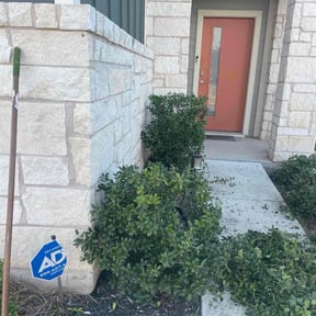 Bush Trimming by Giron Tree Services LLC reviewed on November 22, 2025