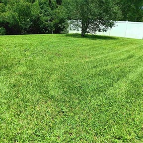 landscaping by R&R tractor/ yardwork reviewed on August 21, 2025