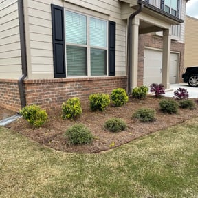 Bush Trimming by Peninsula services reviewed on August 19, 2025