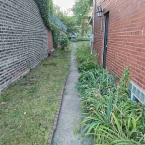 Bush Trimming by Jolo property Management reviewed on August 18, 2025