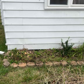 Flower Bed Weeding by Harry Skrypec Lawncare reviewed on October 22, 2025