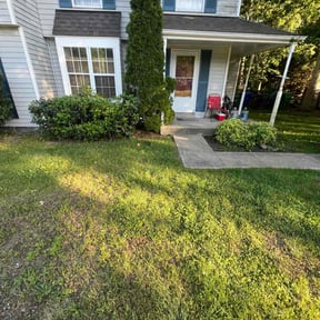 Bush Trimming by Flat Rate Services reviewed on August 18, 2025