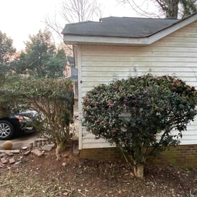 Bush Trimming by Weekend Warrior Landscaping reviewed on August 21, 2025