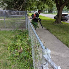 Bush Trimming by United landscaping reviewed on November 20, 2025