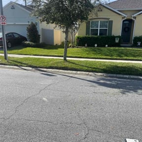 lawn care services by Sam's auto detailing reviewed on August 16, 2025