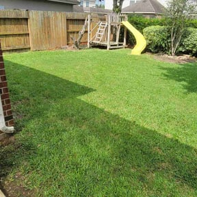 grass maintenance by NobleScapes Landscaping, LLC reviewed on July 27, 2023