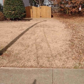 Leaf Removal by Iconic Mowing LLC reviewed on August 16, 2025