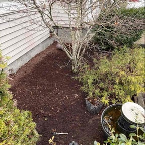 Leaf Removal by Arch &amp; Oak reviewed on August 25, 2026