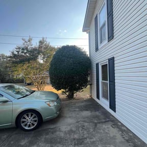 Bush Trimming by Enrique's Outdoor Maintenance reviewed on December 29, 2025