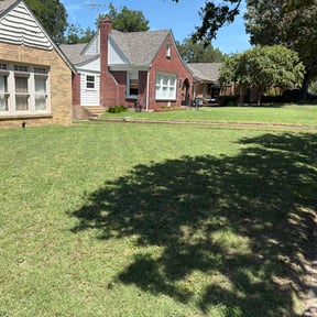 yard care by All Season Lawn Service reviewed on August 16, 2025
