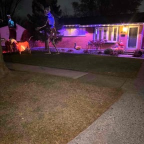 Leaf Removal by kumler lawn care reviewed on November 19, 2025