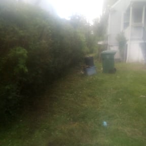 Bush Trimming by Vintage Lawn Care reviewed on August 15, 2025