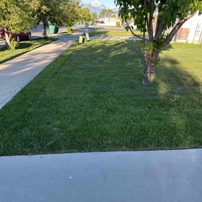 landscape maintenance by M+D's Lawn-A-Motive reviewed on August 21, 2025