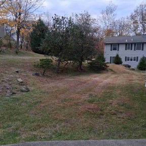 Leaf Removal by Michael Norman Lawn reviewed on October 23, 2025