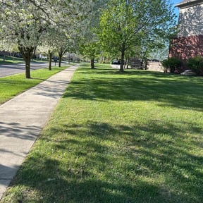 landscape maintenance by JW Lawn Care Service reviewed on August 17, 2025