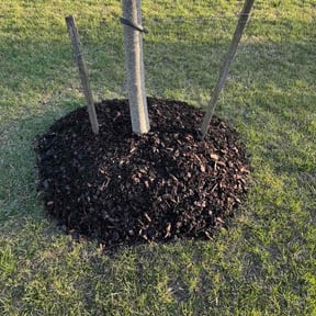 Mulching by Roy Reddick reviewed on March 27, 2026