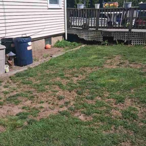 Leaf Removal by CJJames Tree Care &amp; Handyman Services reviewed on May 21, 2026