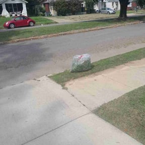 Bush Trimming by Unknown reviewed on August 17, 2025