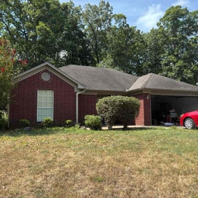 Bush Trimming by Cutting Edge Lawn Care Service reviewed on August 17, 2025